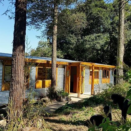 Evergreen Cabin Karkloof Yarrow Exterior foto