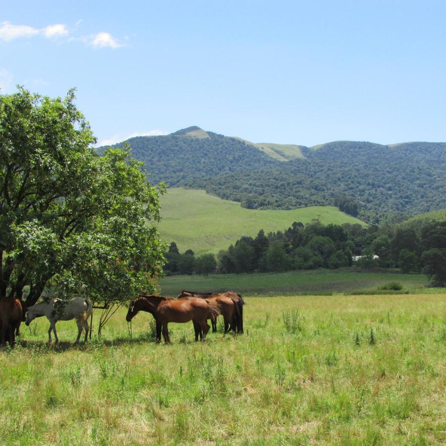 Evergreen Cabin Karkloof Yarrow Exterior foto